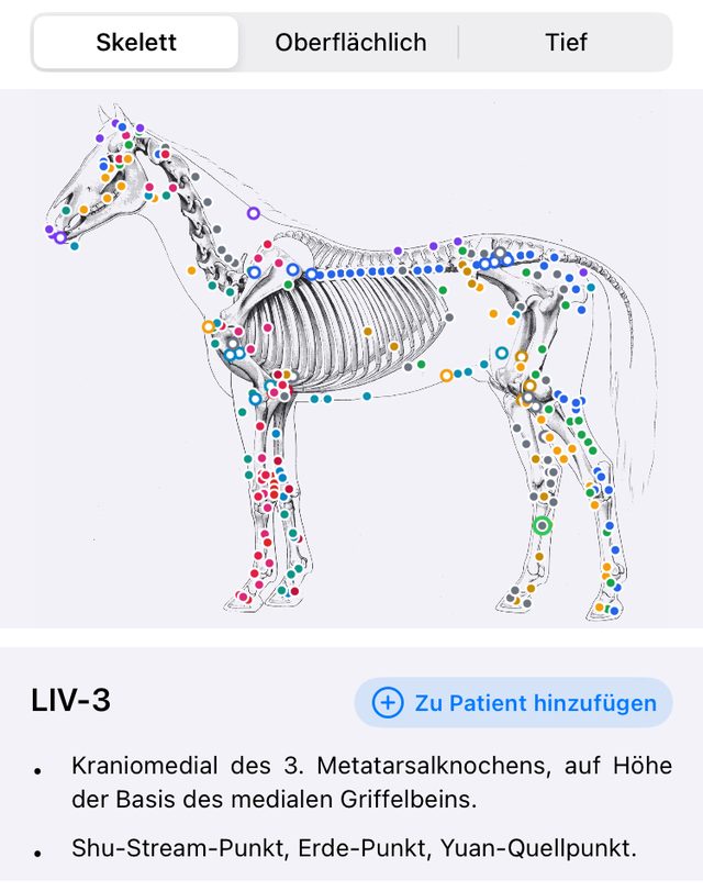 Akupunkturatlas des Pferdes in der Skelettansicht